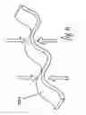 Fig. 08 - Implantable electrical cable and method of making
