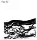 Fig. 11 - Dermal substitute consisting of amnion and biodegradable polymer, the preparation method and the use thereof