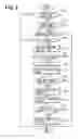 Fig. 05 - Injection quantity controller for an internal combustion engine