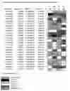Fig. 05 - Method of visualizing non-targeted metabolomic data generated from fourier transform ion cyclotron resonance mass spectrometers