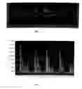 Fig. 02 - Method and device for determining the voice quality degradation of a signal