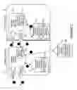 Fig. 03 - System and mechanism to create autonomic business process solutions