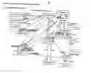 Fig. 77 - Secure electronic payment messaging system with reconcilable finality