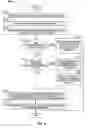 Fig. 06 - Prioritizing product information