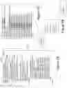 Fig. 09 - Automated derivative view rendering system