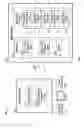 Fig. 02 - Blocking input with delayed message