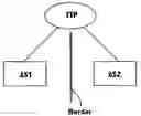 Fig. 01 - Multicast peering