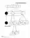 Fig. 12 - Fibonacci heap for use with internet routing protocols