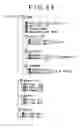 Fig. 35 - Information recording/reproducing apparatus, information recording/reproducing method, program storage medium, and program