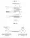 Fig. 04 - Method of copying and decrypting encrypted digital data and apparatus therefor