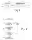 Fig. 06 - Methods of providing integrated circuit devices with data modifying capabilities