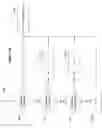 Fig. 12 - Organizing, editing, and rendering digital ink