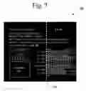 Fig. 08 - Controlled non-proportional scaling display