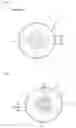 Fig. 03 - Disk for disk drive having crack blocking portions