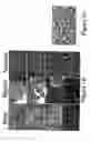 Fig. 03 - Non-human transgenic mammals used as models for human pathologies originating from stem cells