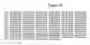 Fig. 03 - Promoter from the rice triosephosphate isomerase gene OsTPI