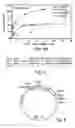 Fig. 07 - Plants characterized by enhanced growth and methods and nucleic acid constructs useful for generating same
