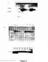 Fig. 04 - Expression of protective antigens in transgenic chloroplasts