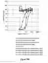 Fig. 07 - Expression of protective antigens in transgenic chloroplasts