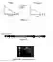 Fig. 11 - Expression of protective antigens in transgenic chloroplasts