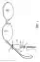 Fig. 02 - Ornamental eyeglass retainer and necklace