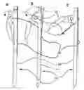 Fig. 01 - Survival hook