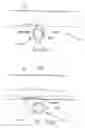 Fig. 16 - Reusable casket