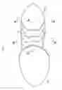 Fig. 03 - Wrestling shoe with separated outer soles