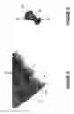 Fig. 07 - Modular firearm buttstock