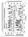 Fig. 03 - Internal combustion engine exhaust system