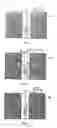 Fig. 02 - Method and apparatus for downhole fluid analysis using molecularly imprinted polymers