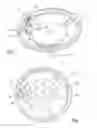 Fig. 02 - Steering wheel assembly