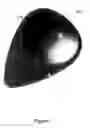 Fig. 03 - Pick for stringed musical instruments