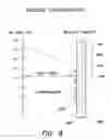 Fig. 09 - Air purification system and method