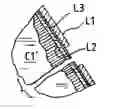 Fig. 01 - Low cost litho printing press, printing plate, and method for printing paste-type oil-based litho ink which eliminate the dampener and dampening solution therefrom