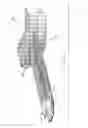 Fig. 02 - Gliding submersible transport system