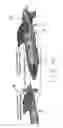 Fig. 16 - Gliding submersible transport system