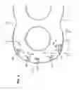 Fig. 07 - Cooling unit for air-cooled internal combustion engine