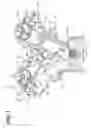 Fig. 02 - Valve timing adjusting apparatus
