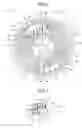 Fig. 06 - Valve timing adjusting device