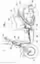Fig. 02 - Intake structure in internal combustion engine
