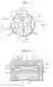 Fig. 02 - Combustion chamber structure in an internal combustion engine