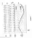 Fig. 12 - Method and apparatus for mimicking respiratory sinus arrhythmia with cardiac pacing controlled via external respiration therapy device