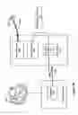 Fig. 07 - Respiratory therapy control based on cardiac cycle