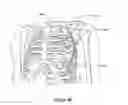 Fig. 10 - Respiratory therapy control based on cardiac cycle