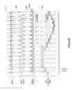 Fig. 12 - Respiratory therapy control based on cardiac cycle
