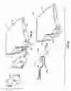 Fig. 06 - Flexing head support suspension system