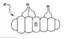 Fig. 01 - Ear plugs and method of forming same