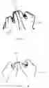 Fig. 08 - Method of flossing and flossing aid system