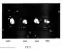 Fig. 19 - Devices and methods for programmable microscale manipulation of fluids
